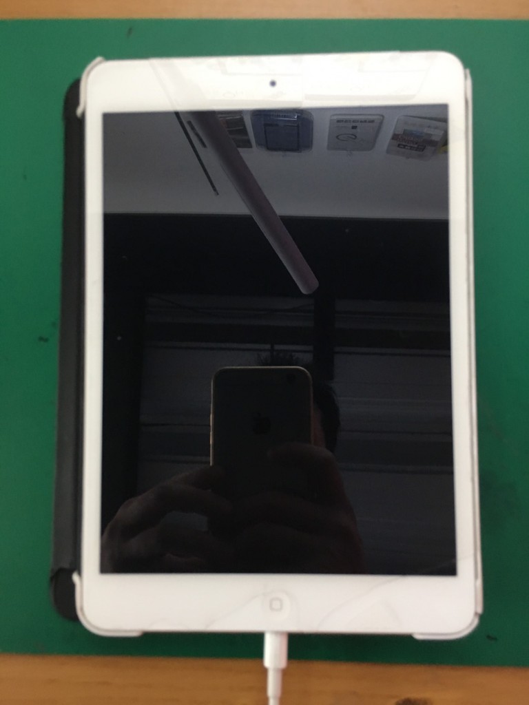iPadmini2