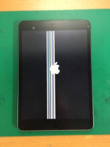 iPadmini2-1